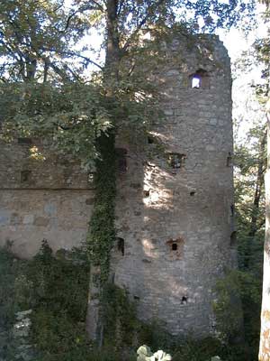 Burg Plankenstein