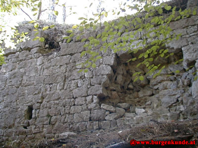 Ruine Scharfeneck