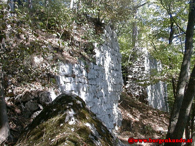 Ruine Scharfeneck