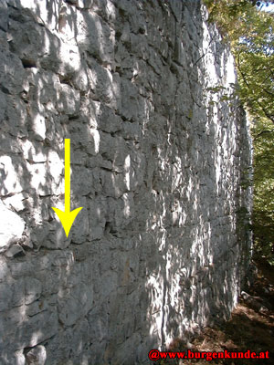 Ruine Scharfeneck