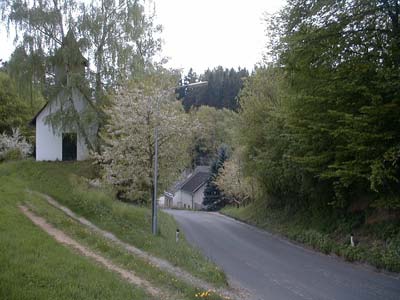 Ruine Schwarzau