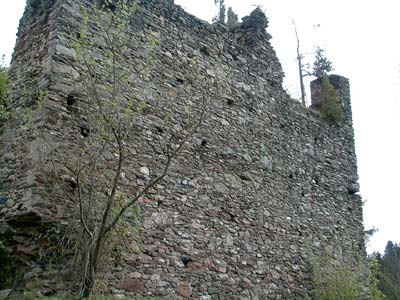 Ruine Schwarzau