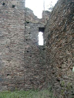 Ruine Schwarzau