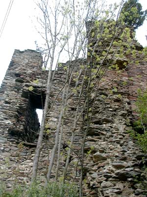 Ruine Schwarzau