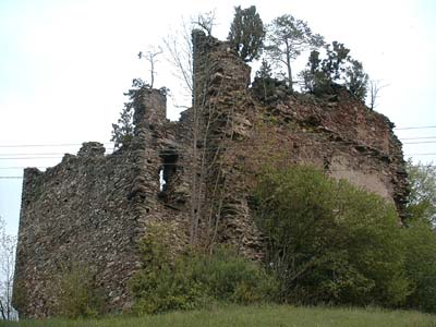 Ruine Schwarzau