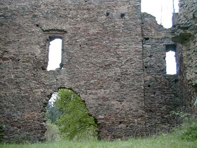 Ruine Schwarzau