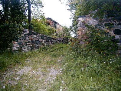Ruine Weitenegg