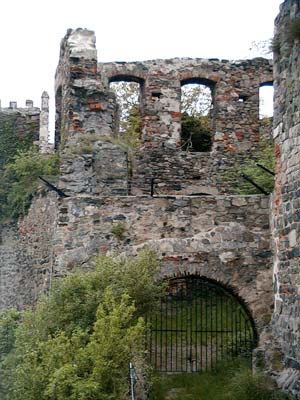Ruine Weitenegg