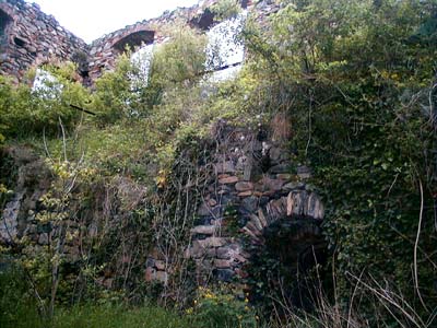 Ruine Weitenegg
