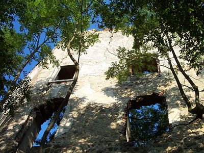 Ruine Zelking