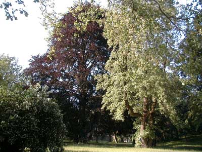 Schloß Auhof