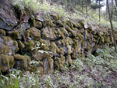 Ruine Blankenberg