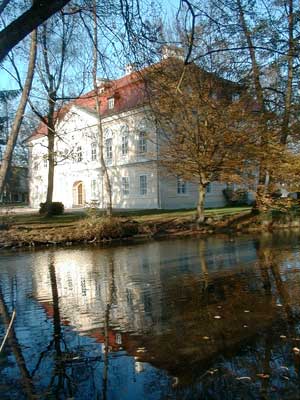 Ruine Dachsberg