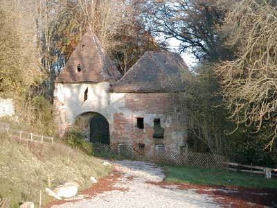 Ruine Dachsberg