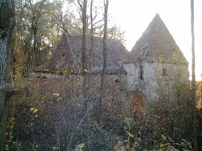 Ruine Dachsberg