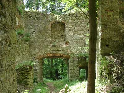 Ruine Klingenberg