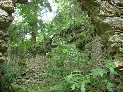 Ruine Klingenberg