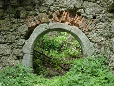 Ruine Klingenberg