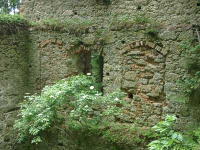 Ruine Klingenberg