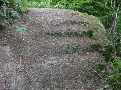 Ruine Klingenberg