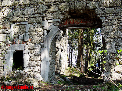 Burgruine Klingenberg / Niederösterreich