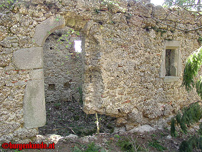 Burgruine Klingenberg / Niederösterreich