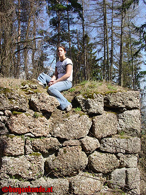 Burgruine Klingenberg / Niederösterreich