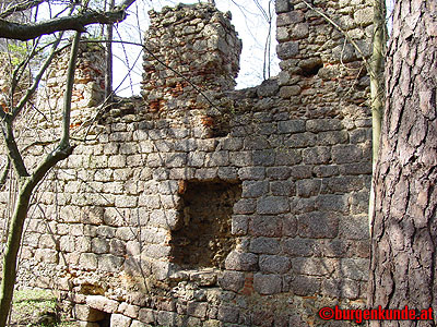 Burgruine Klingenberg / Niederösterreich