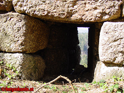 Burgruine Klingenberg / Niederösterreich