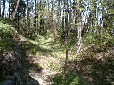 Ruine Kogl