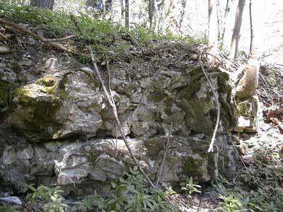 Ruine Kogl