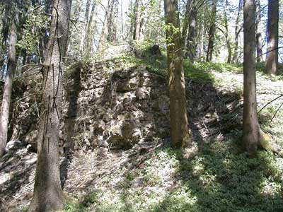 Ruine Kogl