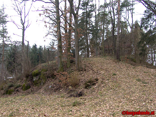 Ruine Kronast / Oberösterreich