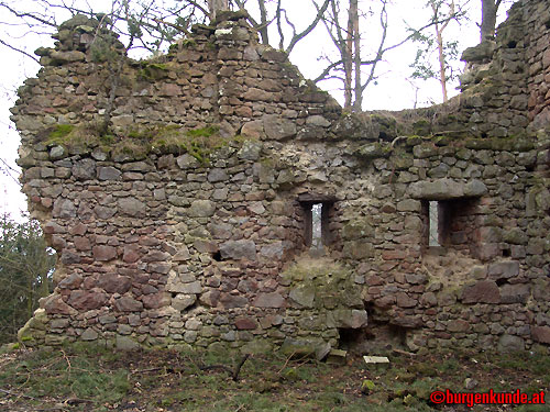 Ruine Kronast / Oberösterreich