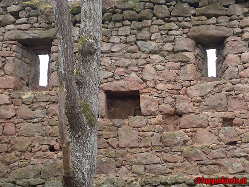 Ruine Kronast / Oberösterreich