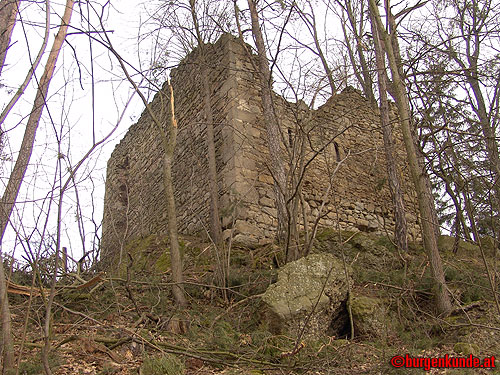 Ruine Kronast / Oberösterreich