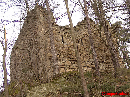 Ruine Kronast / Oberösterreich