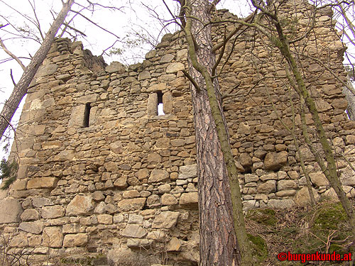 Ruine Kronast / Oberösterreich