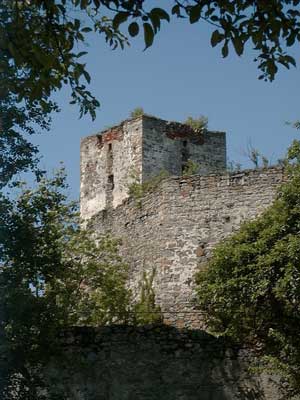 Burg Langenstein