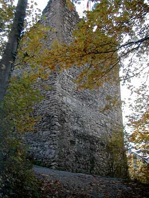 Ruine Dachsberg