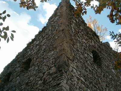 Ruine Dachsberg