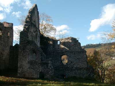 Ruine Dachsberg