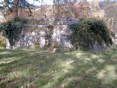 Ruine Dachsberg