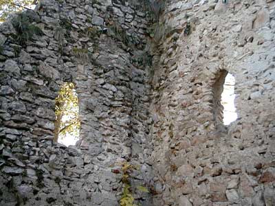 Ruine Dachsberg