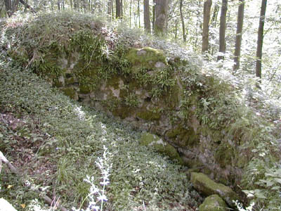 Ruine Mitterberg