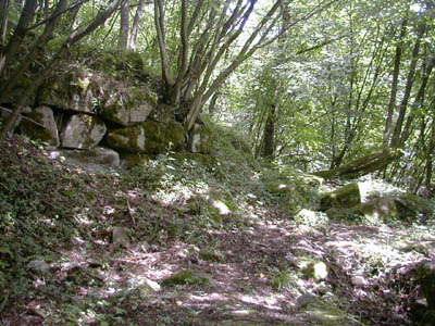 Ruine Mitterberg