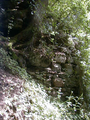 Ruine Mitterberg