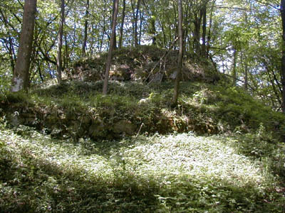 Ruine Mitterberg