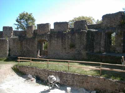 Burgruine Reichenau