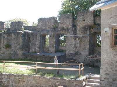 Burgruine Reichenau